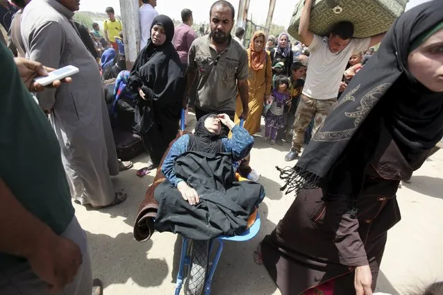 A woman who fainted, is transported in a wheelbarrow by her brother as displaced Sunni people, who fled the violence in the city of Ramadi, arrive at the outskirts of Baghdad, April 17, 2015. (Photo by Reuters/Stringer)
