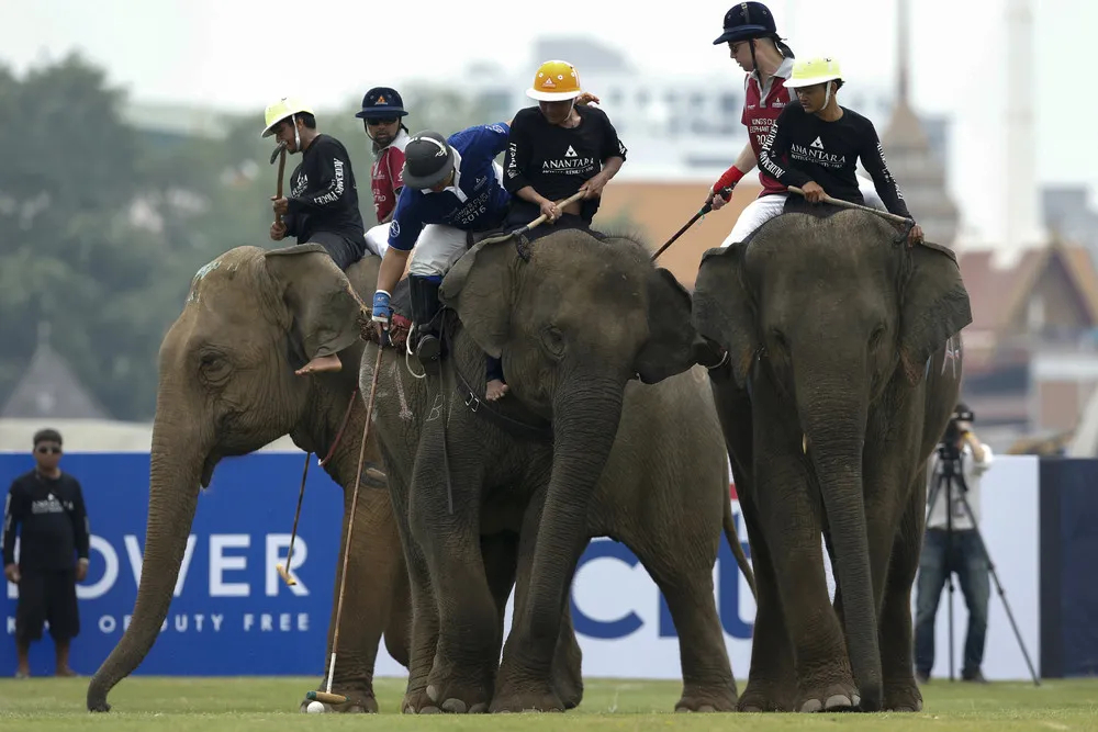 King's Cup Elephant Polo Tournament