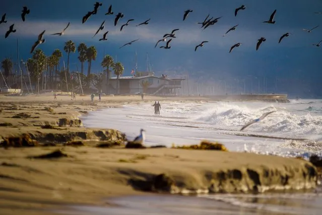 Seagulls are seen taking flight in the early morning hours. Saturday, October 23, 2021, in Santa Barbara, California, United States. (Photo by Jason Whitman/NurPhoto/Rex Features/Shutterstock)
