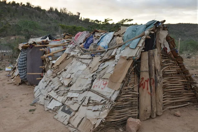 In this March 21, 2015 photo, a makeshift tent of flattened cardboard boxes, thatch and discarded clothes is shown at a borderland encampment outside the southeast Haitian town of Anse-a-Pitres, Haiti. (Photo by David McFadden/AP Photo)