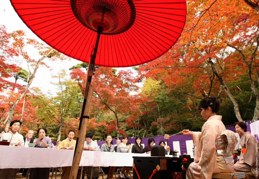 Outdoor Tea Ceremony Takes Place At Zuihoji Temple Park