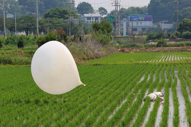 A balloon is seen attached to an object (R) after it landed in a rice field in Seonwon-myeon, Ganghwa County, in the city of Incheon on June 10, 2024. North Korea sent hundreds more trash-carrying balloons over the border, Seoul's military said on June 10, after Kim Jong Un's powerful sister warned of further responses if the South keeps up its “psychological warfare”. (Photo by Yonhap/AFP Photo)