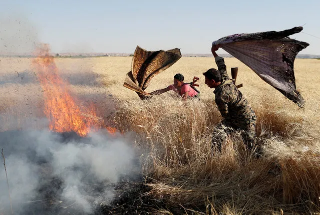 Kurdish fighters from the People’s Protection Units (YPG) extinguish a fire in a wheat field burned during clashes with Islamic State militants in Raqqa, Syria, June 15, 2017. (Photo by Goran Tomasevic/Reuters)