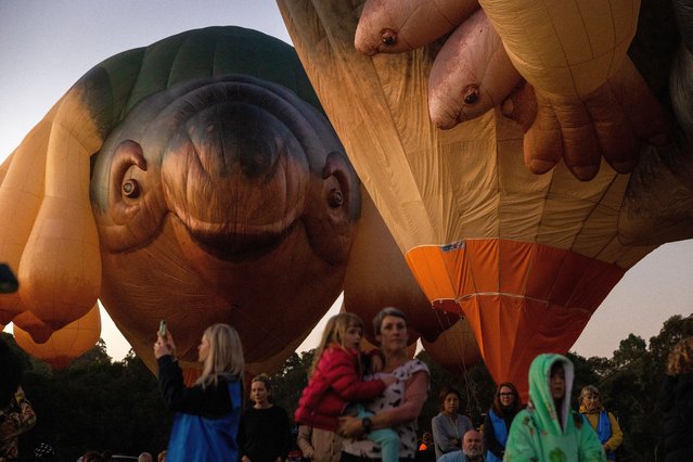 Skywhale and Skywhalepapa, created by artist Patricia Piccinini before flying over Melbourne on March 19, 2022 in Melbourne, Australia. It is the first time Piccinini's work Skywhales: Every Heart Sings has flown over Melbourne, as part of MPavilion. (Photo by Asanka Ratnayake/Getty Images)