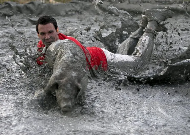 A participant tries to catch a pig in the “greased pig contest” at the Festival du Cochon (Pig Festival) in Sainte-Perpetue, Quebec August 8, 2015. (Photo by Christinne Muschi/Reuters)