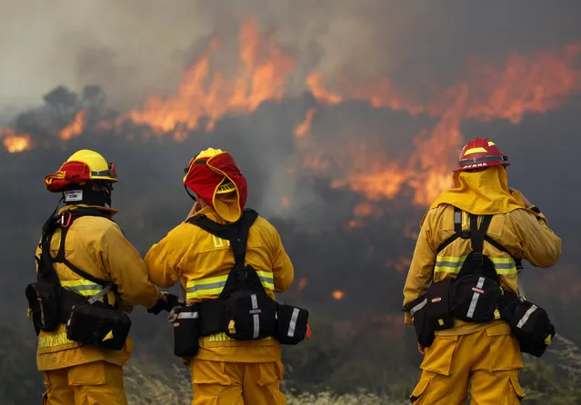 Upland firefighters, from left, Nima Homayounieh, Joseph Armendariz, and Capt. Joe Burna, watch as flames burn toward Highway 94 near Potrero, Calif., on Monday, June 20, 2016. (Photo by Hayne Palmour IV/San Diego Union-Tribune via AP Photo)