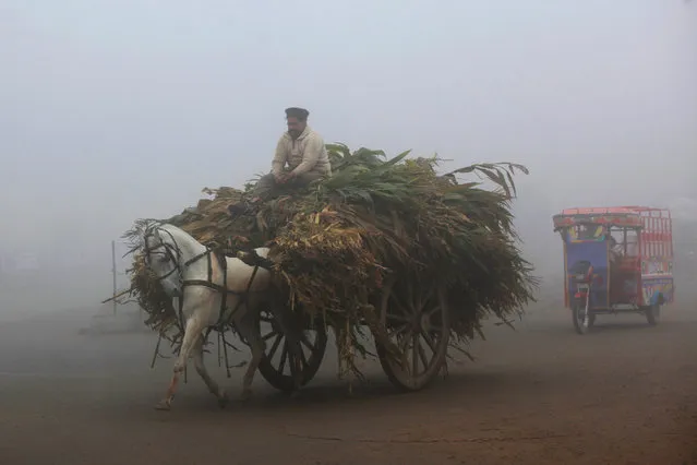 A man rides a horse-drawn cart loaded with fodder amid dense fog on a cold morning along a highway in Lahore, Pakistan on January 15, 2020. (Photo by Mohsin Raza/Reuters)