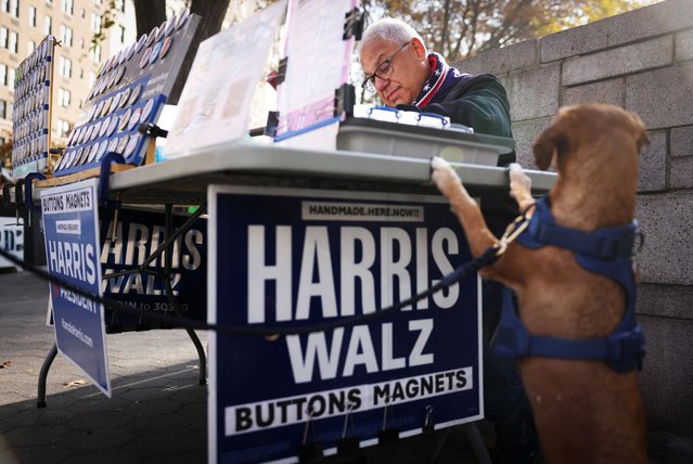 A dog called “Toast” watches as Michael Zorek makes badges in support of Kamala Harris and Tim Walz, on Election Day in Manhattan, New York City on November 5, 2024. (Photo by Andrew Kelly/Reuters)