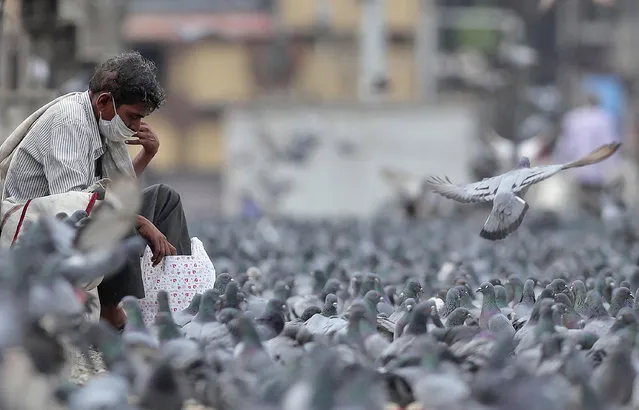 An Indian wearing a face mask sits beside pigeons during a lockdown aimed at preventing the spread of new coronavirus in Hyderabad, India, Tuesday, April 7, 2020. (Photo by Mahesh Kumar A./AP Photo)