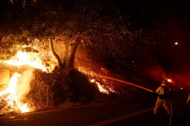 Firefighters protect homes on Lytle Creek Road during the Blue Cut fire in San Bernardino County, California, U.S. August 17, 2016. (Photo by Patrick T. Fallon/Reuters)