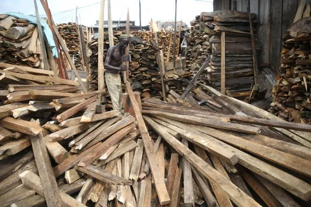 Planks are piled up at Okobaba sawmill at the edge of the Lagos Lagoon June 24, 2014. (Photo by Akintunde Akinleye/Reuters)