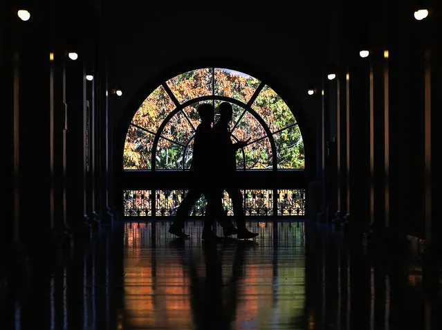 Capitol hill staff members walk past a window showing colorful fall leaves, inside the Russell Senate Office Building, November 12, 2014 in Washington, DC. Today Congress returned to work after their mid-term election break. (Photo by Mark Wilson/Getty Images)