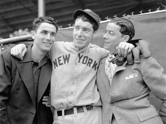 The DiMaggio brothers, a trio of centerfielders whose exploits made baseball history, look fit enough to take over their old jobs as they join other diamond greats in the Old Timers' Day festivities at Yankee Stadium on August 9, 1958.  Joe, center, former Yankees' star was joined by Vince, left, of the Pittsburgh Pirates and Dominic, at right, his counterpart and competitor on the Boston Red Sox of bygone days.  Dominic and Joe were on opposing sides again as the 1946 American League champions, the Red Sox, met the 1947 pennant-winning Yankees in a two-inning encounter prior to the regularly scheduled Yankees - Red Sox game. (Photo by AP Photo)