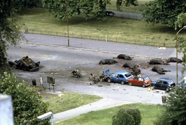Horses from a detachment of the Queen's Household Cavalry and two soldiers became victims of an IRA nail bomb in Hyde Park, London, July 20, 1982. Seven horses were killed or had to be destroyed and two guardsmen were killed. Seventeen bystanders and guardsmen were injured in the blast. (Photo by AP Photo)