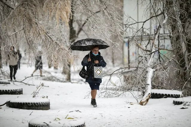 A woman with an umbrella walks past fallen tree branches, after an ice storm in Vladivostok, Russia, Friday, November 20, 2020. (Photo by Aleksander Khitrov/AP Photo)