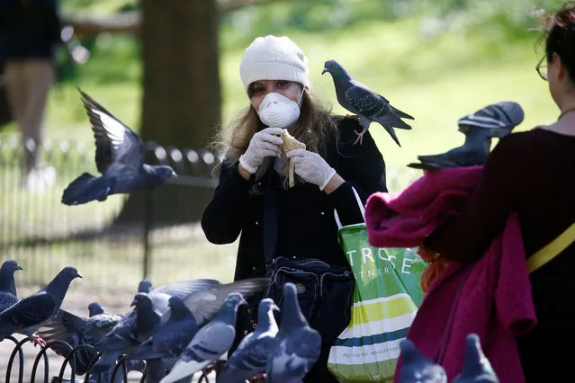 A lady wearing a mask feeds pigeons in St James' Park, as the spread of the coronavirus disease (COVID-19) continues, London, Britain, April 5, 2020. (Photo by Henry Nicholls/Reuters)