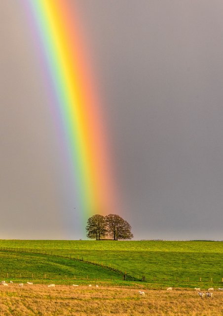 Pictured is a rainbow on Tuesday afternoon, November 1, 2022 at Kings Barrows near Stonehenge in Wiltshire, United Kingdom during a day of very mixed weather. (Photo by Nick Bull/Picture Exclusive)