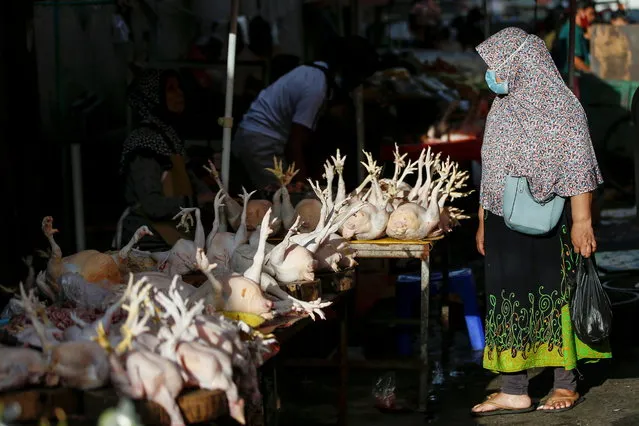 A woman wearing a protective mask to prevent the spread of coronavirus disease (COVID-19) shops for chickens at a traditional market in Jakarta, Indonesia, March 1, 2021. (Photo by Willy Kurniawan/Reuters)