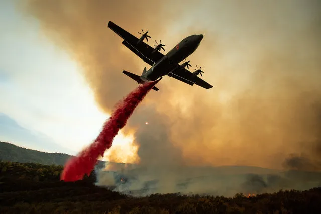 An air tanker drops retardant on the Ranch Fire, part of the Mendocino Complex Fire, burning along High Valley Rd near Clearlake Oaks, California, on August 5, 2018. Several thousand people have been evacuated as various fires swept across the state, although some have been given permission in recent days to return to their homes. (Photo by Noah Berger/AFP Photo)