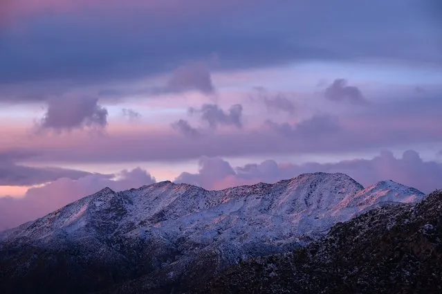 Snow blankets the Angeles National Forest north of Los Angeles, California on December 26, 2019 after a cold winter storm brought heavy rain, snow and strong winds to much of southern California. (Photo by Robyn Beck/AFP Photo)