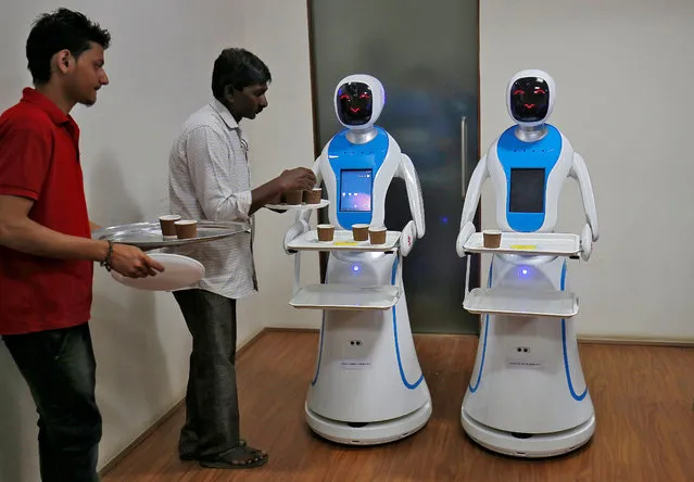 A worker places tea cups onto the tray of a robot waiter during a media preview at the Gujarat Science City in Ahmedabad, November 20, 2018. (Photo by Amit Dave/Reuters)
