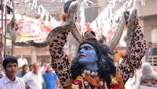 An Indian devotee dressed as Hindu deity Shiva (C) holds a snake as he participates in a Hindu religious procession on the occasion of the Ram Navmi festival in Amritsar on March 28, 2015. Ram Navmi commemorates the birth of Hindu deity Rama. (Photo by Narinder Nanu/AFP Photo)