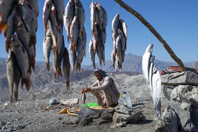 An Afghan vendor sorts fish as he waits for customers along a hill road in Surobi district of Kabul province on November 13, 2023. (Photo by Wakil Kohsar/AFP Photo)