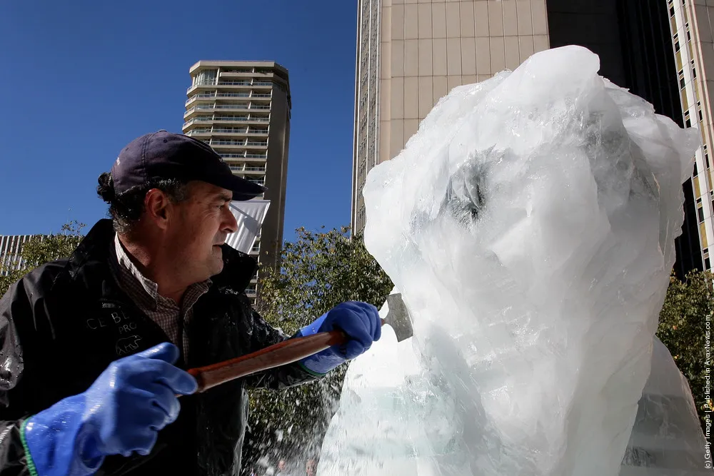 Ice Bear Brings Climate Change Message To Sydney