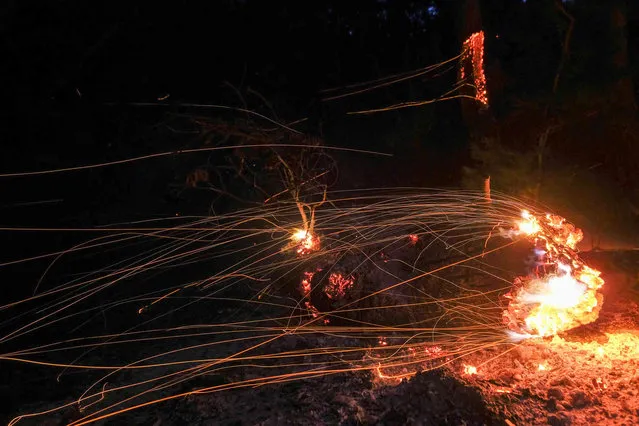 Wind whips embers from a tree burned by a wildfire Wednesday, October 13, 2021, in Goleta, Calif. (Photo by Ringo H.W. Chiu/AP Photo)