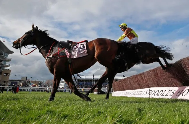 Paul Townend rides Galopin Des Champs alongside Fastorslow during the Cheltenham Gold Cup in Cheltenham, England on March 15, 2024. Galopin Des Champs won the race with the loose horse of Fastorslow his main obstacle in the closing stages. (Photo by Paul Childs/Action Images via Reuters)