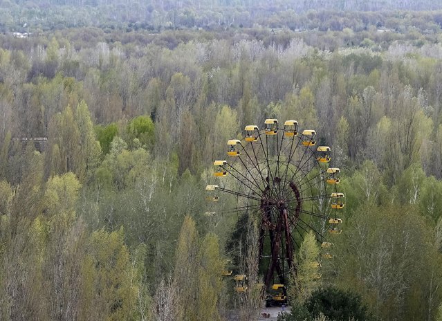A view of the abandoned city of Pripyat near the Chernobyl nuclear power plant in Ukraine April 22, 2016. (Photo by Gleb Garanich/Reuters)
