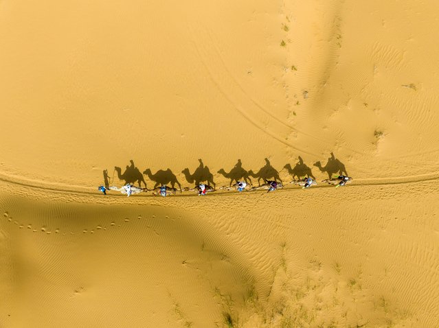 Tourists are riding camels at the Yinkantara scenic spot in the Kubuqi Desert in Ordos, Inner Mongolia autonomous region, China, on May 31, 2024. (Photo by Costfoto/NurPhoto/Rex Features/Shutterstock)