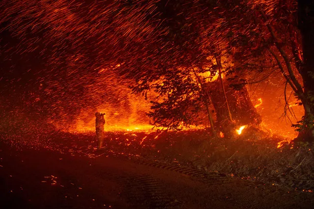 A photographer takes a photo amidst a shower of embers during the Kincade Fire near Geyserville, California on October 24, 2019. The fire broke out in spite of rolling blackouts by utility companies in both northern and Southern California. (Photo by Josh Edelson/AFP Photo)