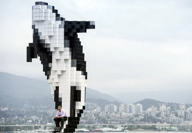 A man sits at the base of an orca statue in downtown Vancouver, British Columbia, Monday, July 20, 2015. (Photo by Jonathan Hayward/The Canadian Press via AP Photo)