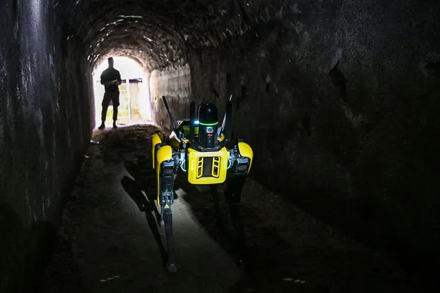 A technician (Rear) drives “Spot”, a quadruped robot developped by Boston Robotics, on June 9, 2022 as it is displayed inspecting a tunnel during a presentation to the media at the Archaeological Park of Pompeii, near Naples, southern Italy. Spot is one the latest monitoring operations of the archaeological structures, capable of inspecting the smallest of spaces in complete safety, gathering and recording data useful for the study and planning of interventions, to improve both the quality of monitoring of the existing areas, and to further our knowledge of the state of progress of the works in those areas undergoing recovery or restoration, and thereby to manage the safety of the site, as well as that of workers. (Photo by Andreas Solaro/AFP Photo)