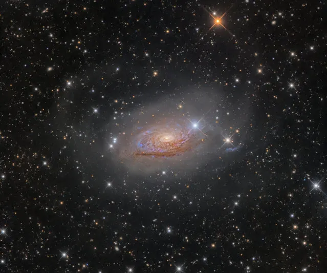 “Galaxies”. Winner: M63 – Star Streams and the Sunflower Galaxy by Oleg Bryzgalov (Ukraine) A bright, spiral galaxy, Messier 63 looks like a star necklace in which the stars have crashed outwards from the galaxy’s centre, producing this fantastic long train. The ghostly star arcs of the Sunflower galaxy had long been an elusive target for the photographer, finally shot in one of the darkest places in Europe. Rozhen Observatory, Smolyan Province, Bulgaria, 6 April 2016 10-inch f/3.8 homemade reflector telescope at f/4.4, Whiteswan 180 mount, QSI 583wsg camera, 22-hour total exposure. (Photo by Oleg Bryzgalov/Insight Astronomy Photographer of the Year 2017)