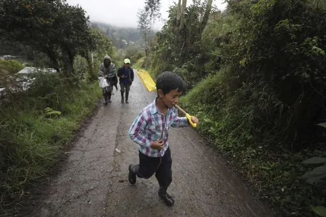 Alejandro Gaona, 9, shoulders a shovel, followed by his mother Nubia Rocio Gaona, 37, and his brother David Gaona, 14, as they walk on a road that leads to their small farm in Chipaque, Colombia, Saturday, May 9, 2020. The small-time farming mother and two sons are reinventing themselves as YouTubers due to a quarantine ordered by the government to contain the spread of COVID-19, teaching others how to grow vegetables at home and providing self-starter kits that they deliver through a local courier. (Photo by Fernando Vergara/AP Photo)