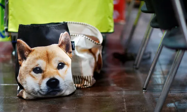 A bag with the face of a dog during the “World Dog Show” in Leipzig, Germany, November 10, 2017. (Photo by Hannibal Hanschke/Reuters)