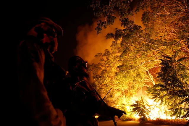 Firefighters watch during a firing operation to protect homes on Lytle Creek Road during the Blue Cut fire in San Bernardino County, California, U.S. August 17, 2016. (Photo by Patrick T. Fallon/Reuters)