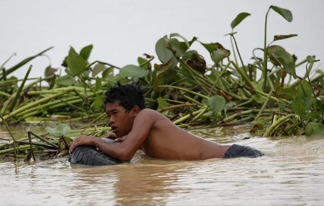 A farmer uses a tyre as a float as he tries to remove water lilies in a flooded rice field in Jaen, Nueva Ecija in northern Philippines October 20, 2015, after the province was hit by Typhoon Koppu. (Photo by Erik De Castro/Reuters)