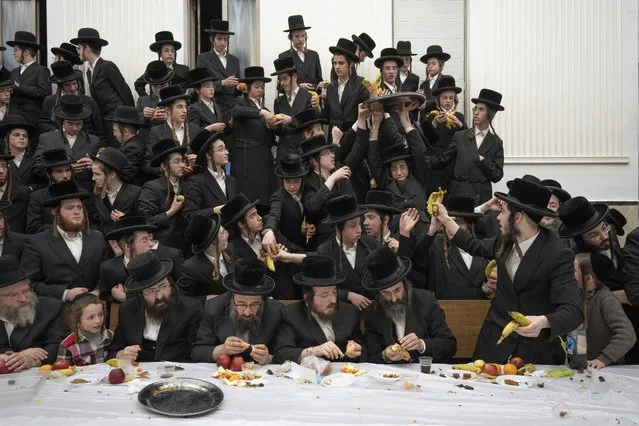 Ultra-Orthodox Jews of the Zweil Hasidim distribute fruits as they celebrate the Jewish feast of Tu Bishvat, or “New Year of the Trees”, as they gather with their rabbis around a long table filled with platters of several types of fruits, in Jerusalem, Sunday, February 5, 2023. (Photo by Ohad Zwigenberg/AP Photo)