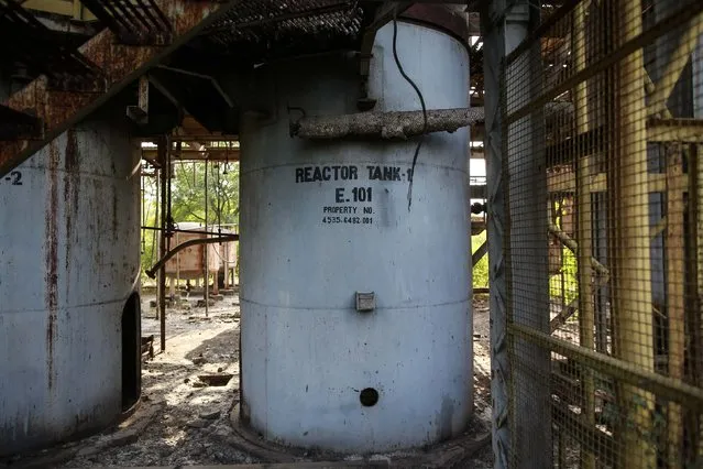 A reactor tank stands among the ruins of the abandoned former Union Carbide pesticide plant in Bhopal November 14, 2014. (Photo by Danish Siddiqui/Reuters)