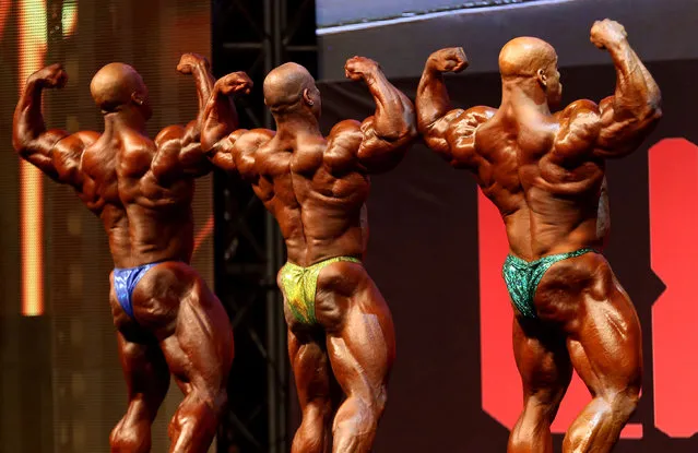 Bodybuilders perform for the judges during the Kuwait Pro bodybuilding tournament in Kuwait City on September 29, 2016. (Photo by Yasser Al-Zayyat/AFP Photo)