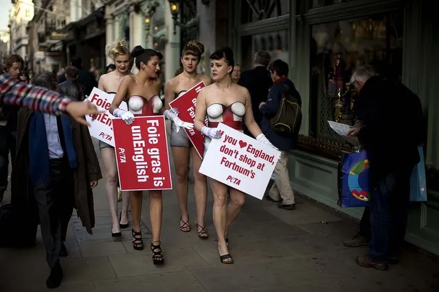 Supporters of PETA, wearing body paint in the design of the Union flag, protest against Foie gras being sold by the Fortnum & Mason department store in London, on April 23, 2013.  PETA supporters said they held the protest Tuesday to coincide with St George's Day to highlight the store selling Foie gras imported from France that they say involves the force-feeding of geese to produce the liver pate. (Photo by Matt Dunham/Associated Press)