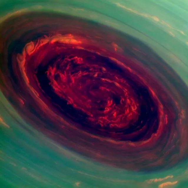 The spinning vortex of Saturn's north polar storm resembles a deep red rose of giant proportions surrounded by green foliage in this false-color image from NASA's Cassini spacecraft. (Photo by NASA/JPL-Caltech/SSI)