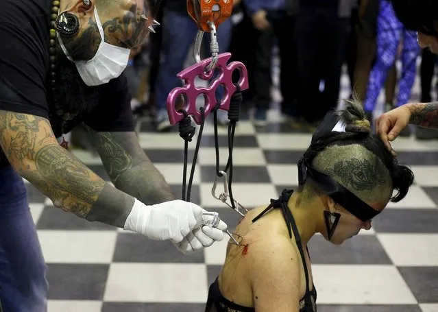 Venezuela's tattoo artist and body modifier, Emilio Gonzalez inspects and prepars a woman with hooks pierced into her skin as she waits to be suspended during a latin america convention of tattoo and suspension in Valparaiso city November 8, 2015. (Photo by Rodrigo Garrido/Reuters)