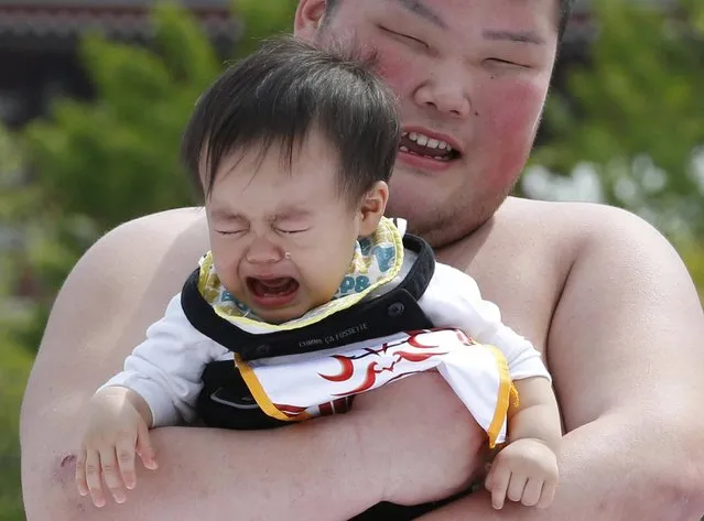 An unidentified baby, held by a college sumo wrester, cries during Naki Sumo, or Crying Baby Contest, at Sensoji temple in Tokyo, Monday, April 29, 2013. The babies born in 2012 participated in the annual traditional ritual performed as a prayer for healthy growth of them. (Photo by Shizuo Kambayashi/AP Photo)