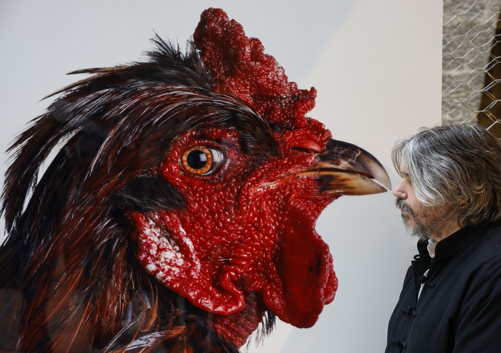 Some Photos: Contemporary Art