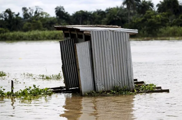 A toilet floats on the river Nun near Yenagoa, Bayelsa state in Nigeria's delta region October 8, 2015. (Photo by Akintunde Akinleye/Reuters)