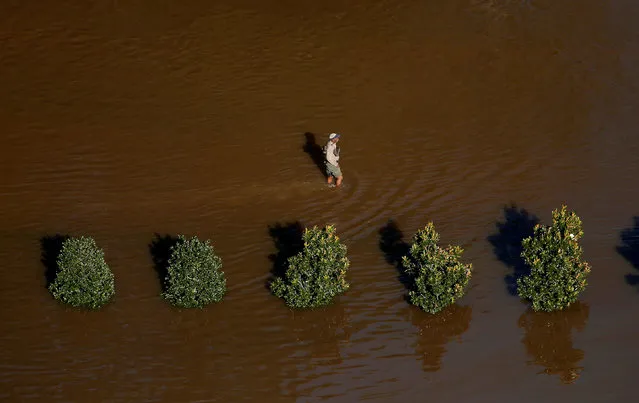 A man walks through flood waters after Hurricane Matthew in Lumberton, North Carolina October 10, 2016. (Photo by Chris Keane/Reuters)